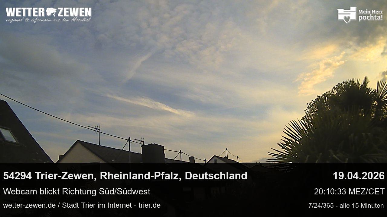 Bild