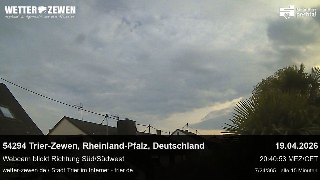 Bild