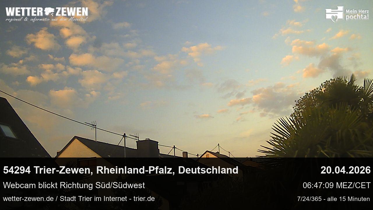Bild