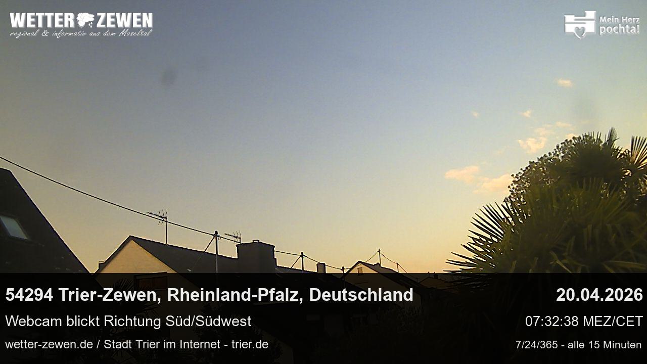 Bild