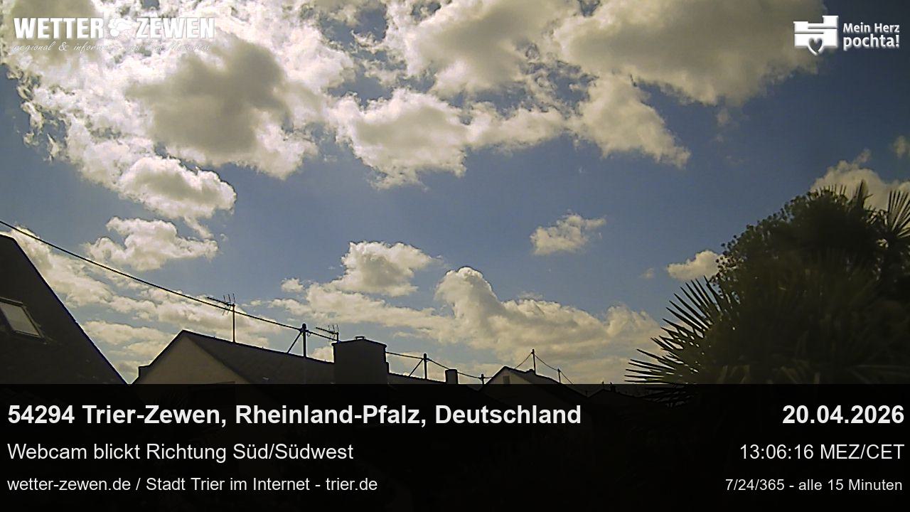 Bild