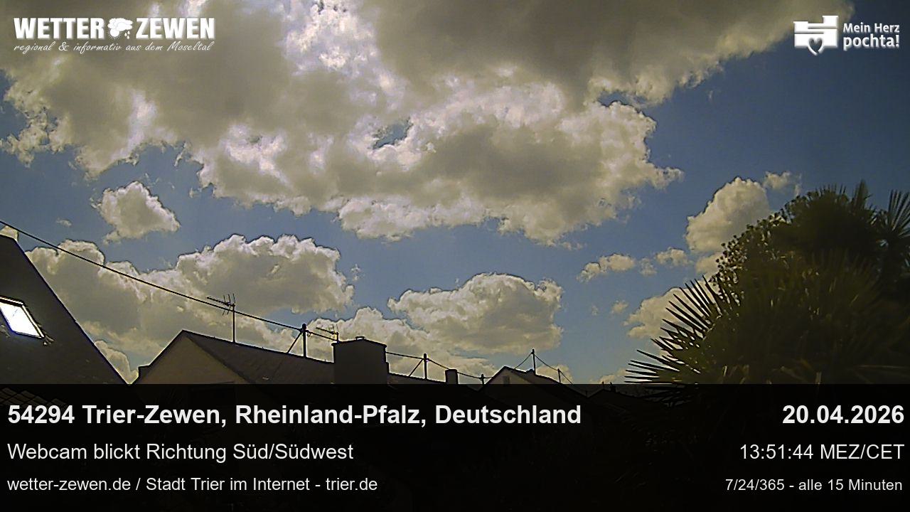 Bild