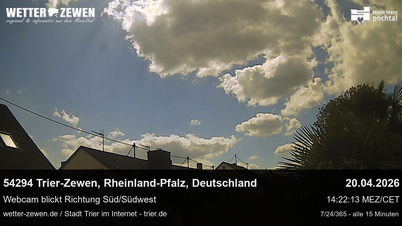 Bild