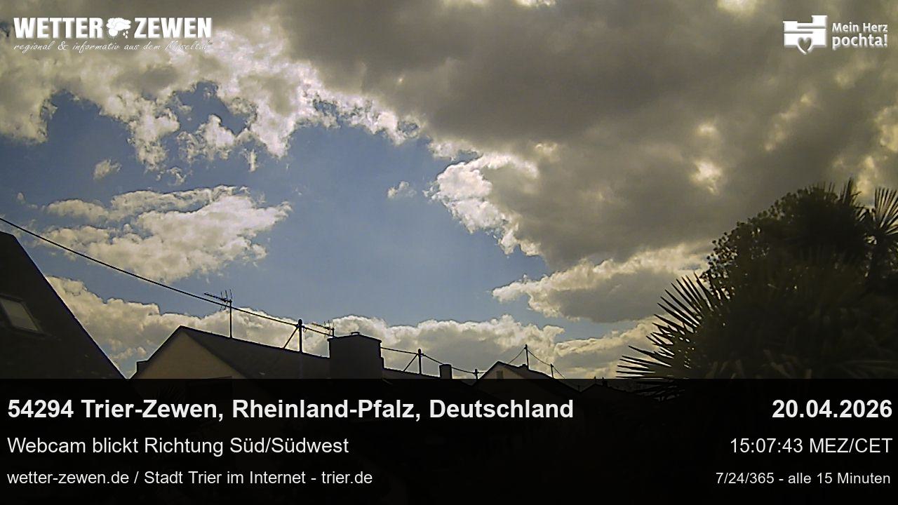 Bild