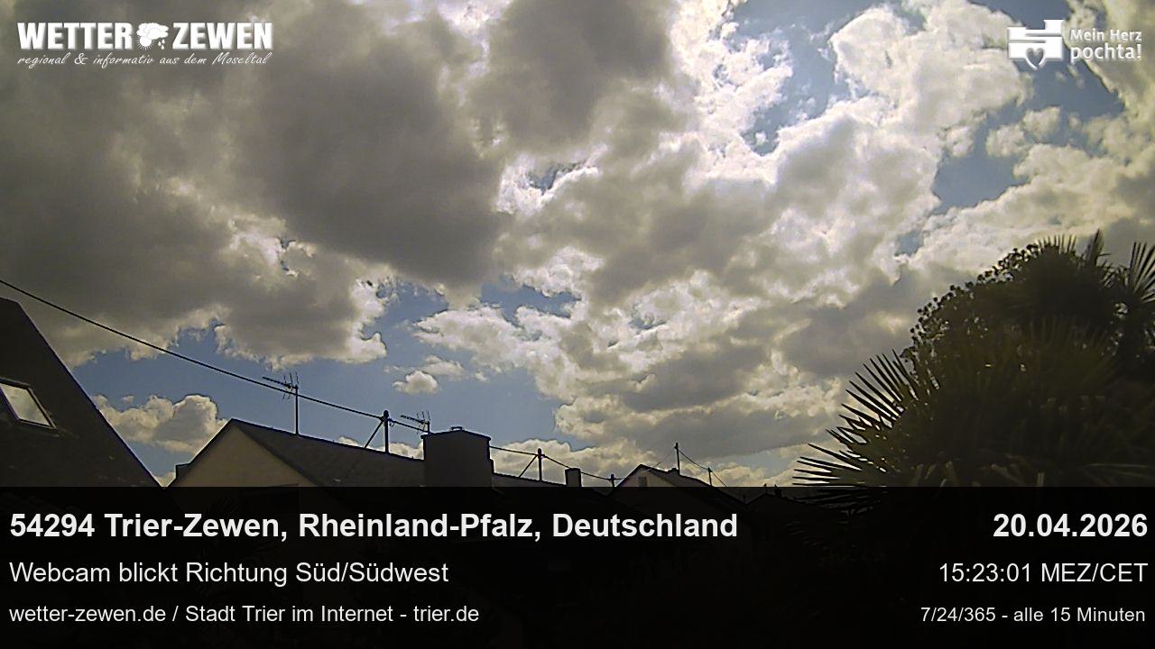 Bild