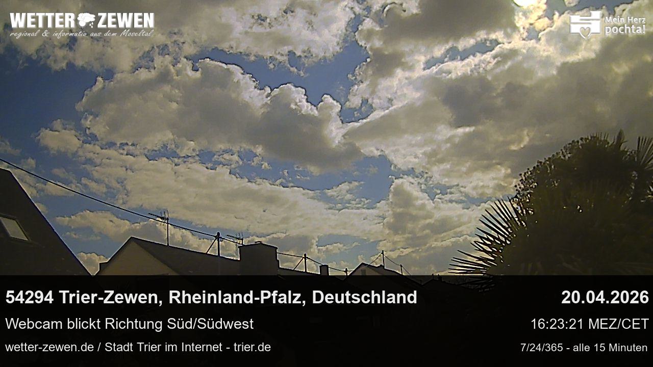 Bild