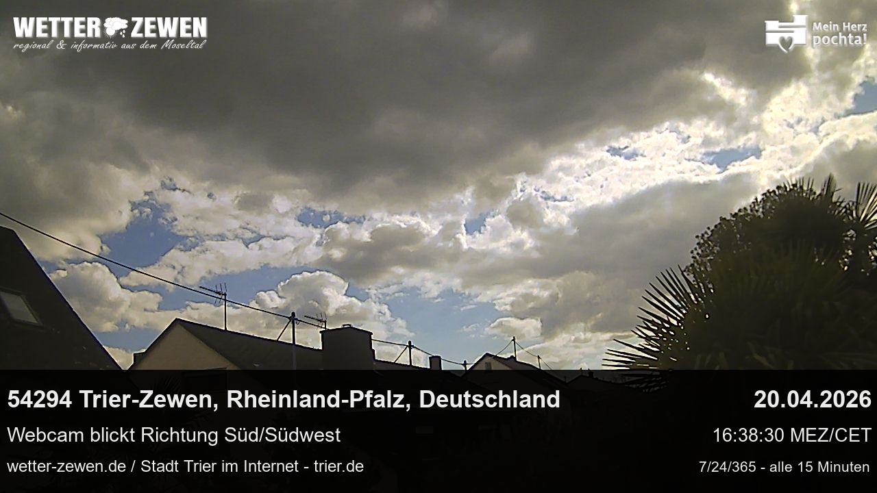 Bild