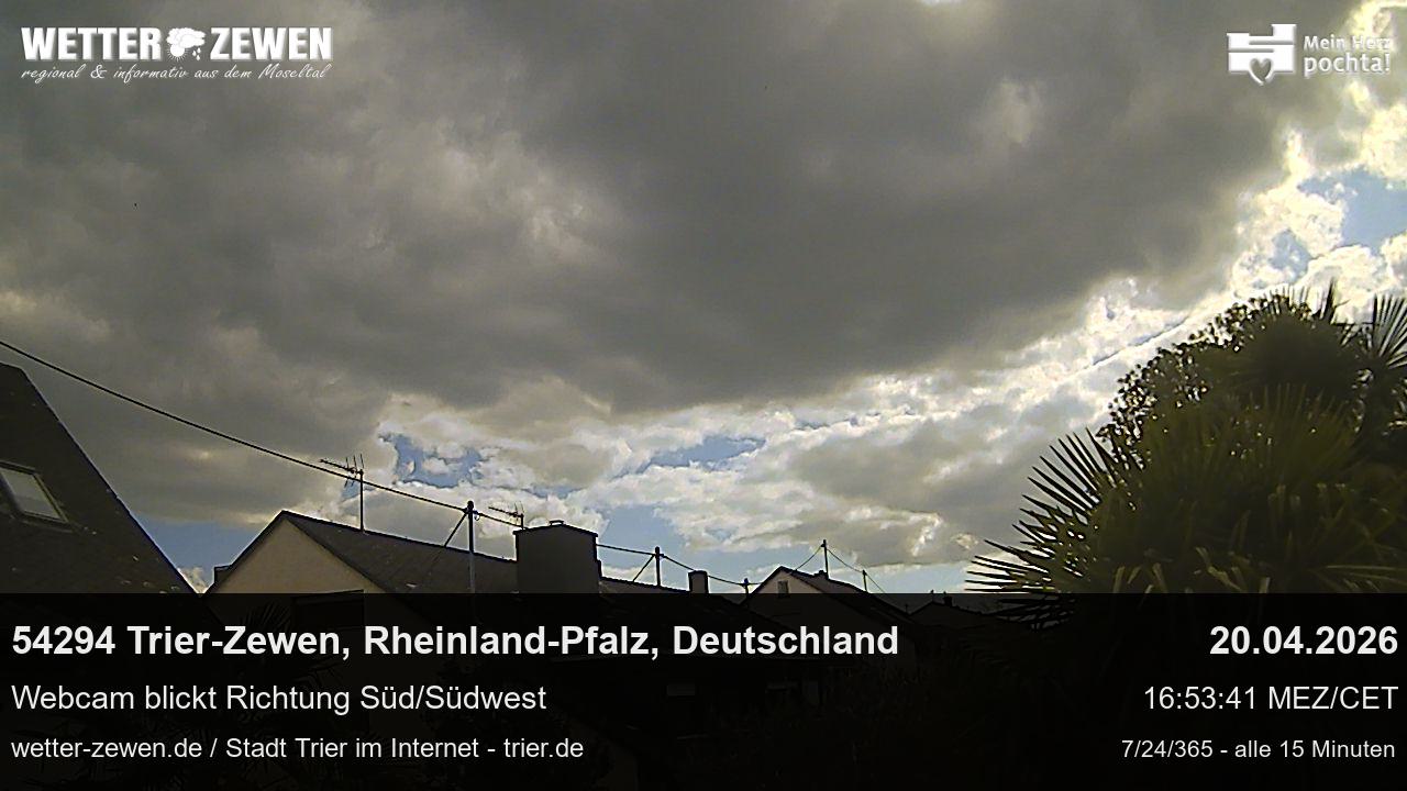 Bild