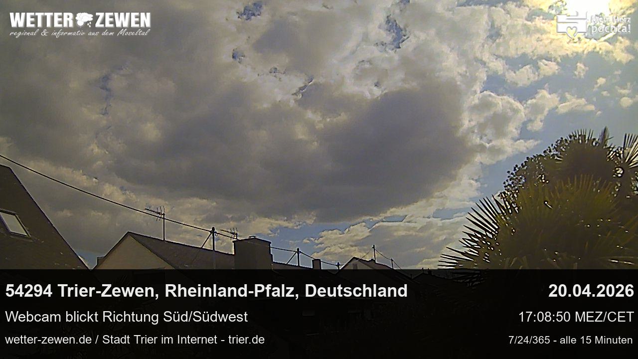 Bild