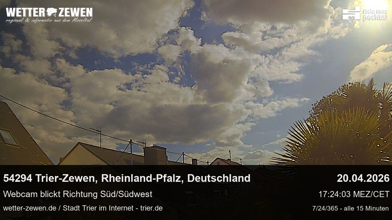 Bild