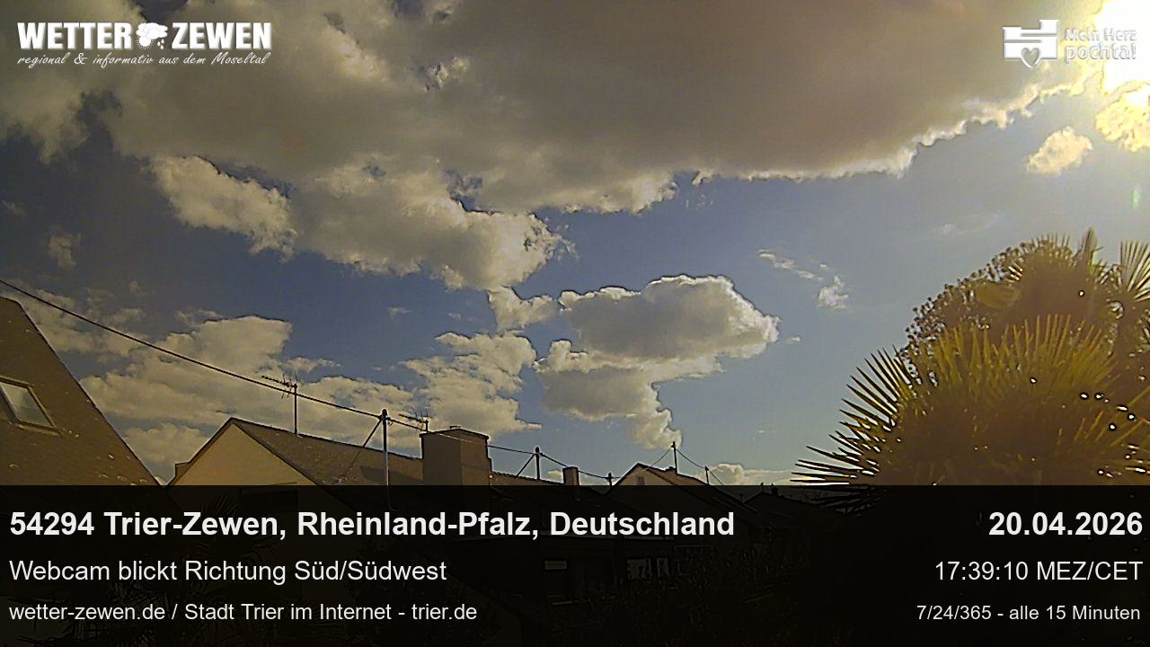Bild