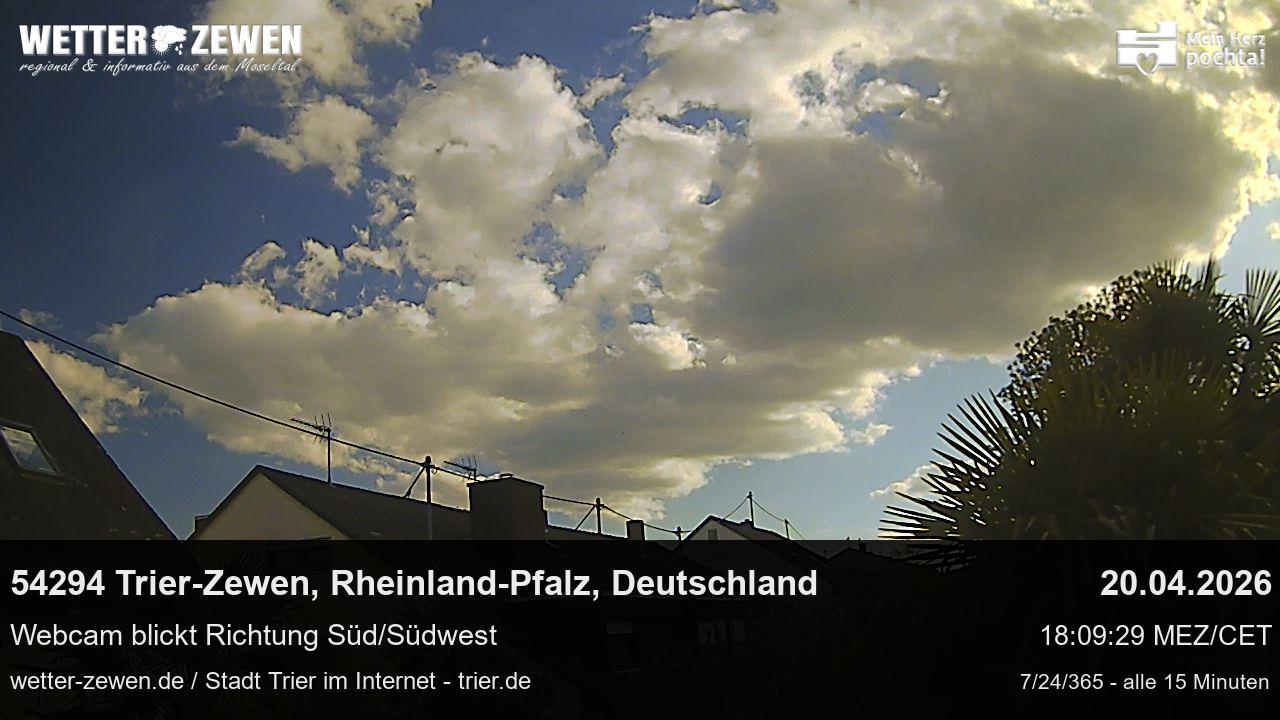 Bild