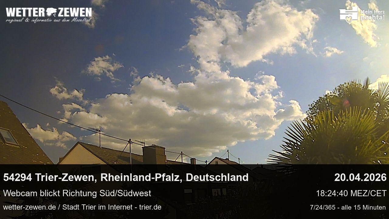 Bild