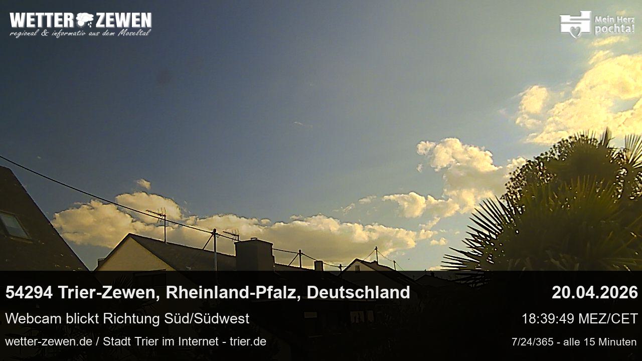 Bild