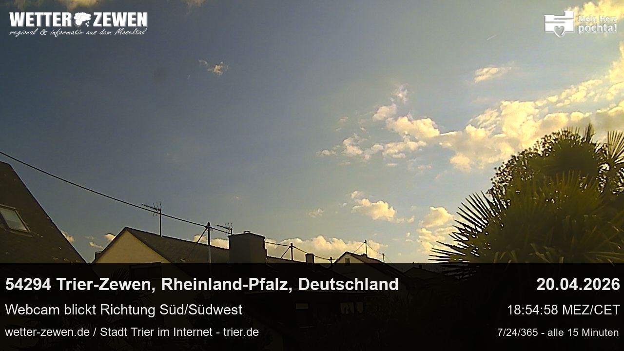 Bild