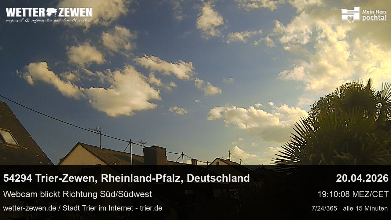 Bild