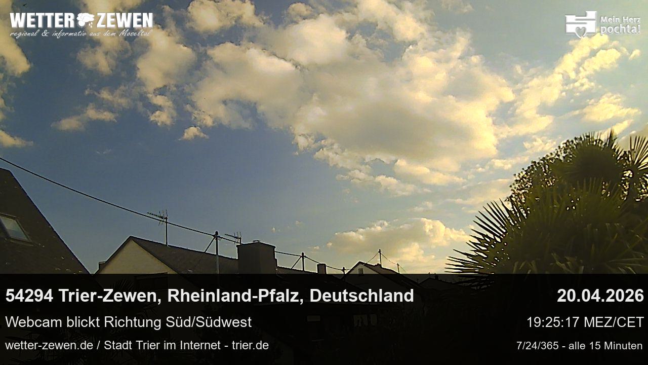 Bild
