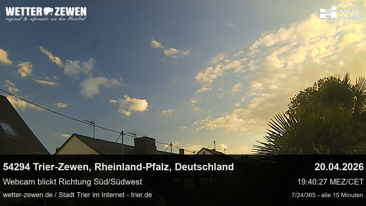 Bild