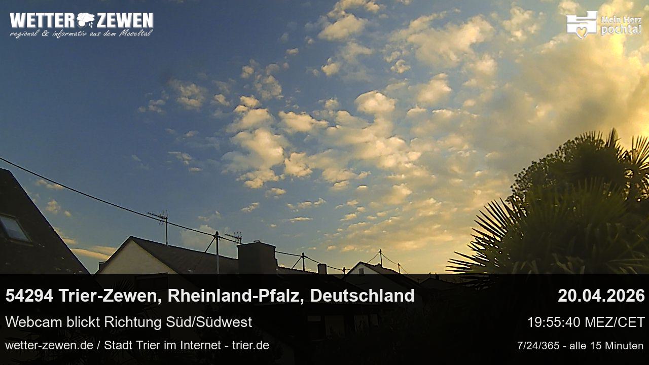 Bild