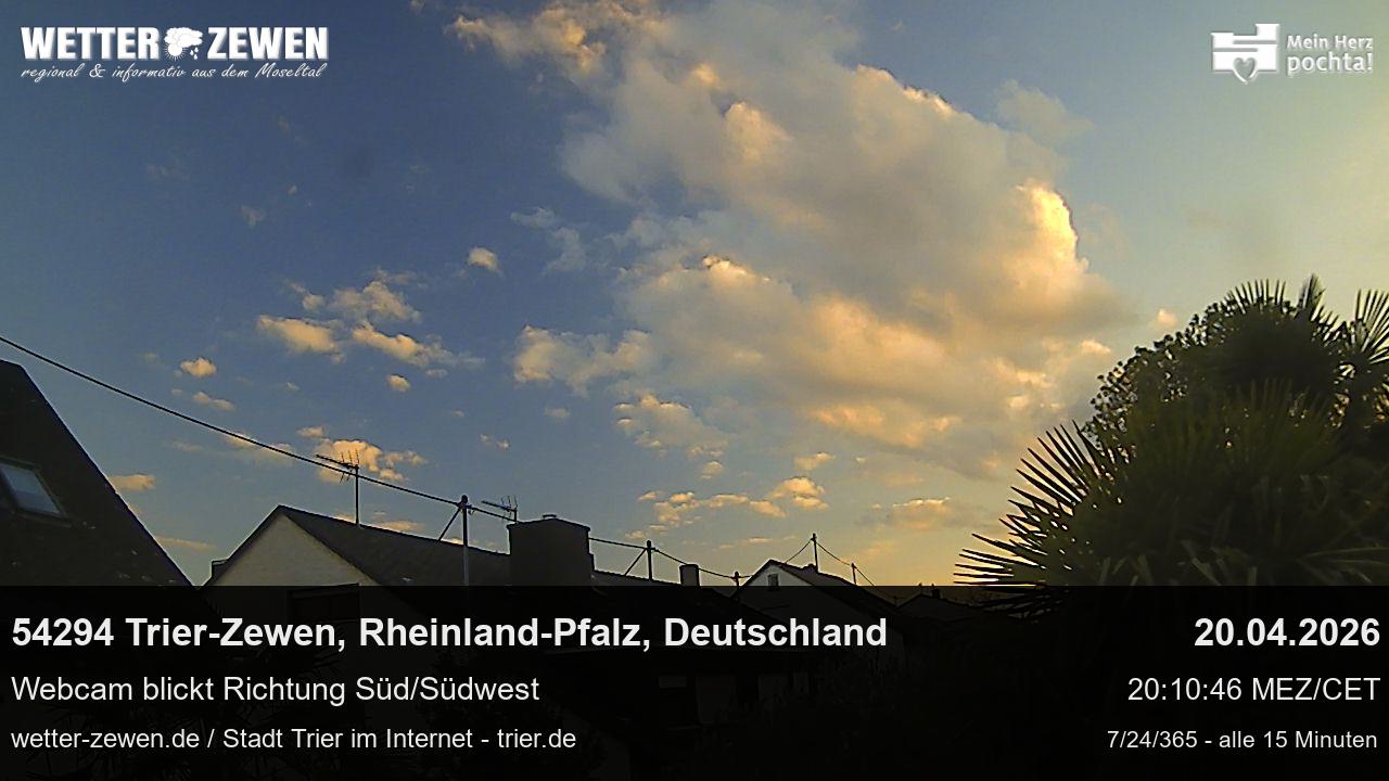 Bild