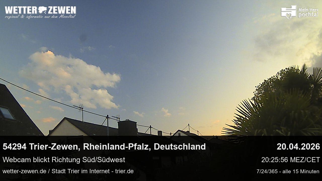 Bild