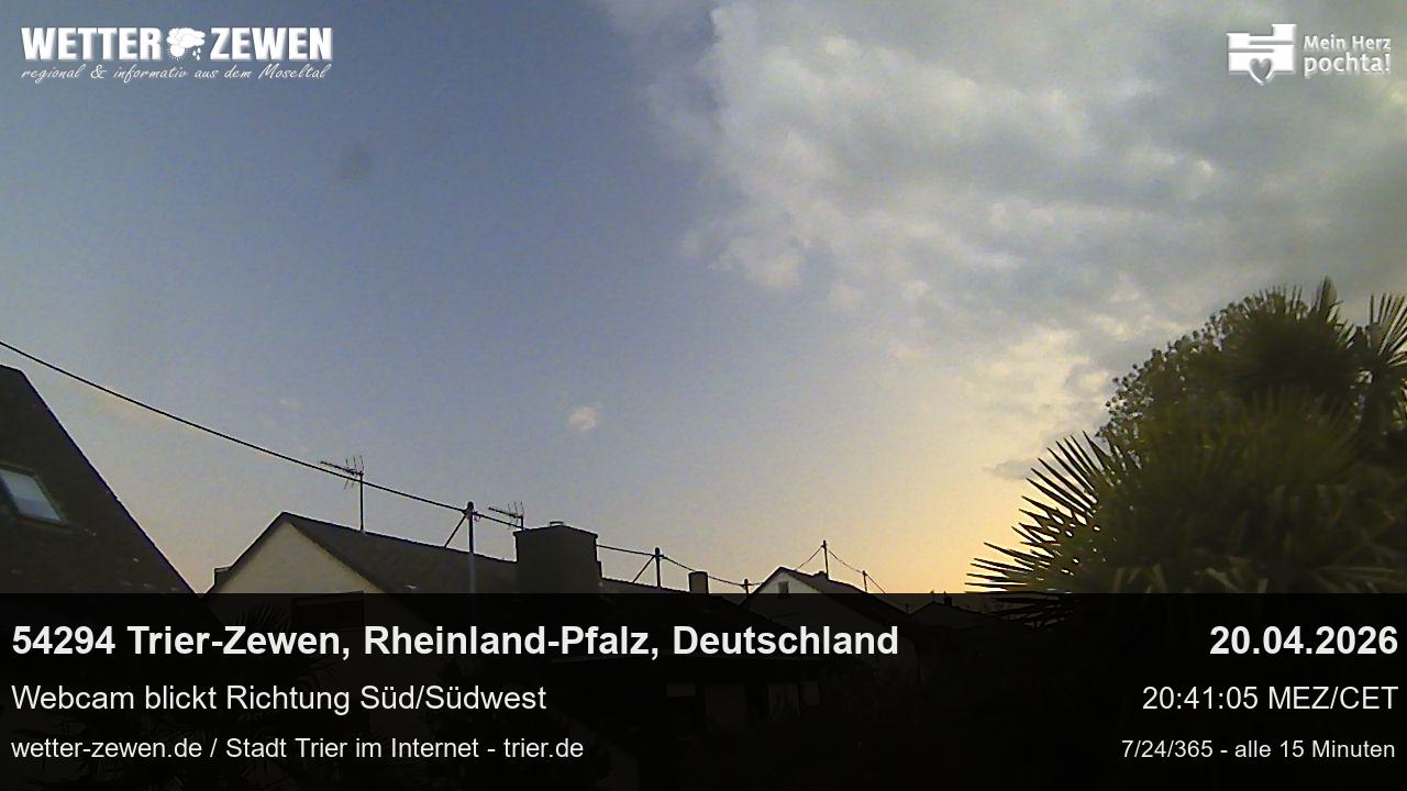 Bild