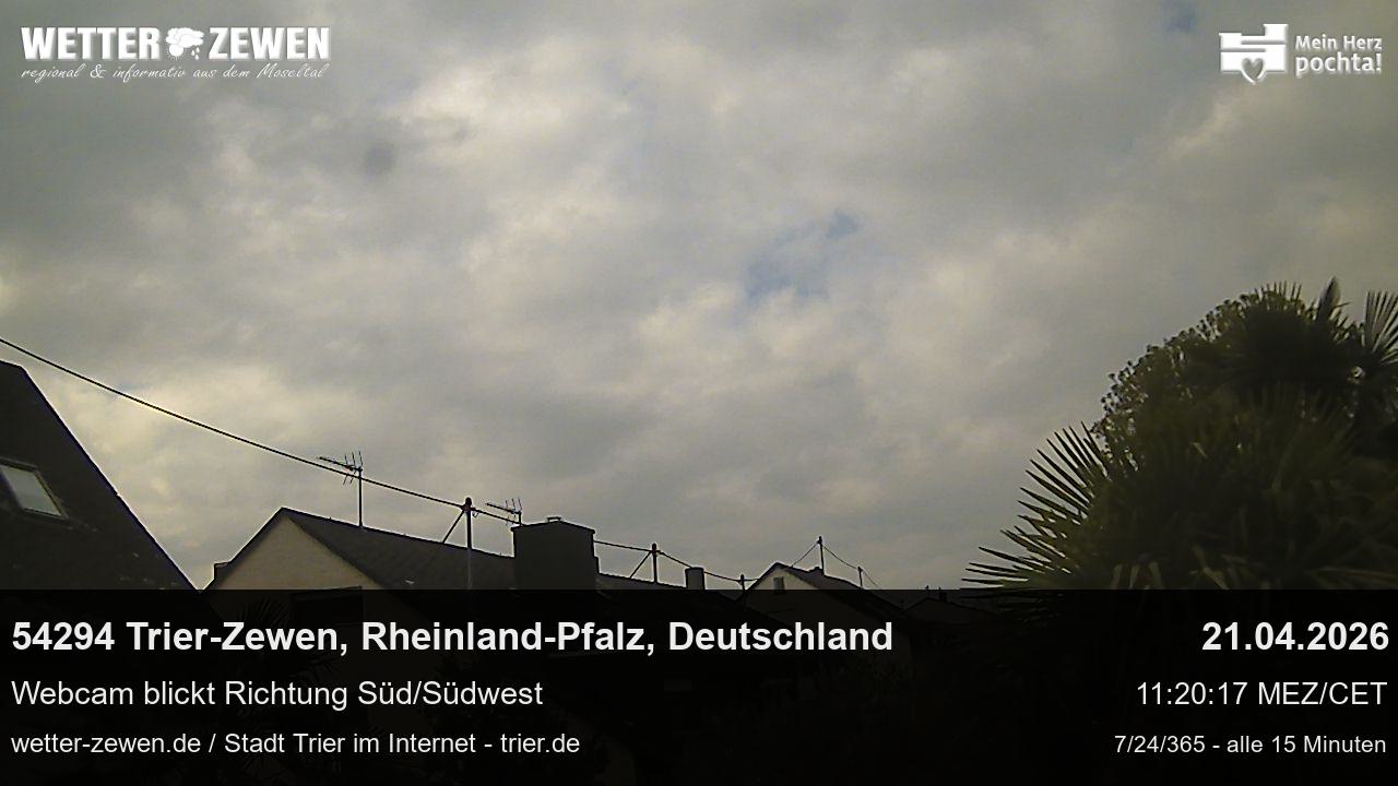Bild