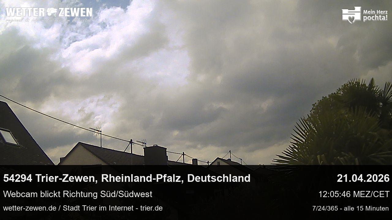 Bild