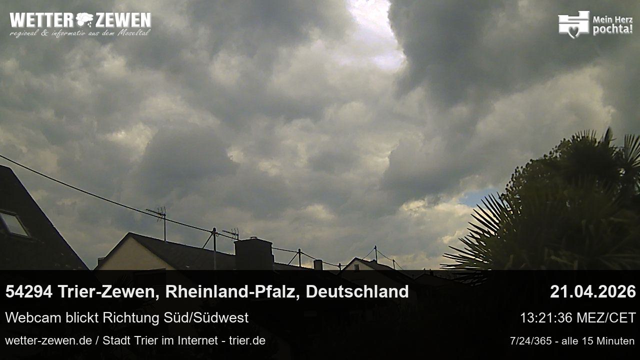 Bild