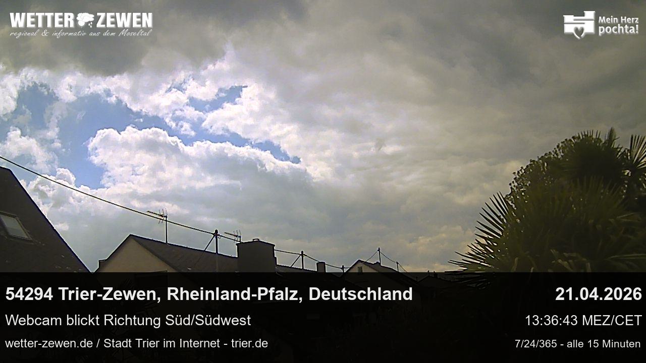 Bild