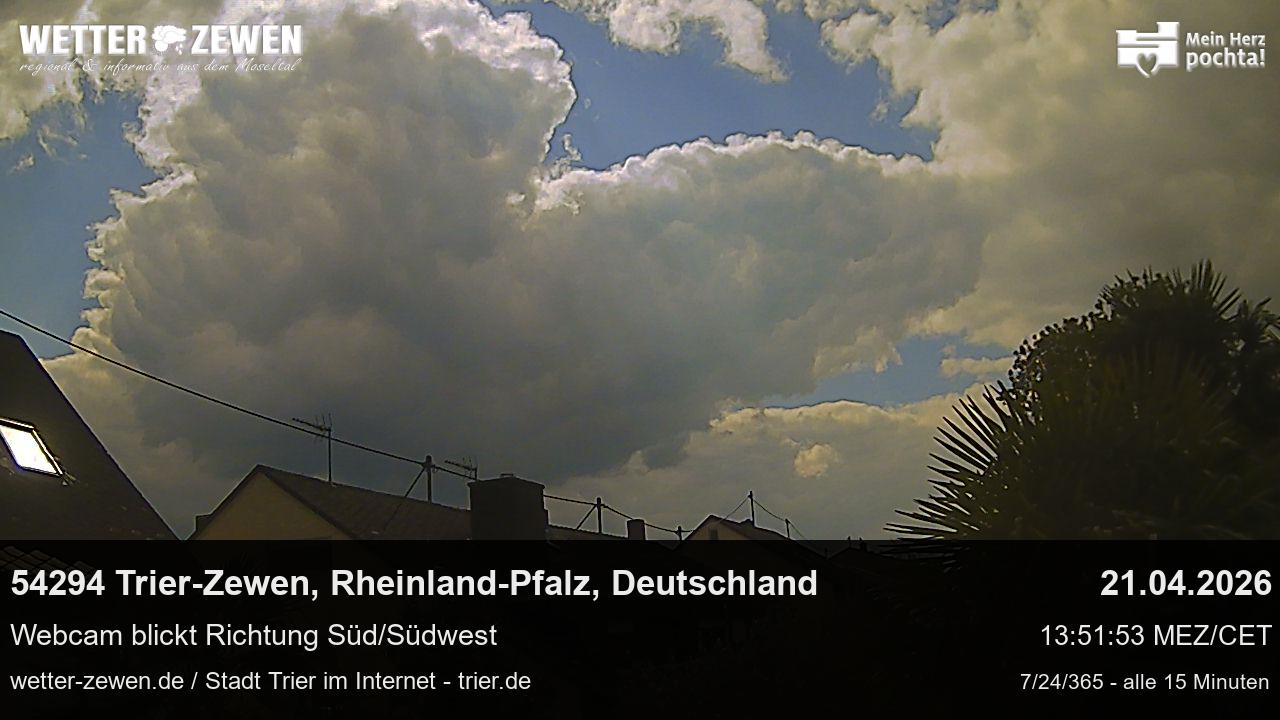 Bild