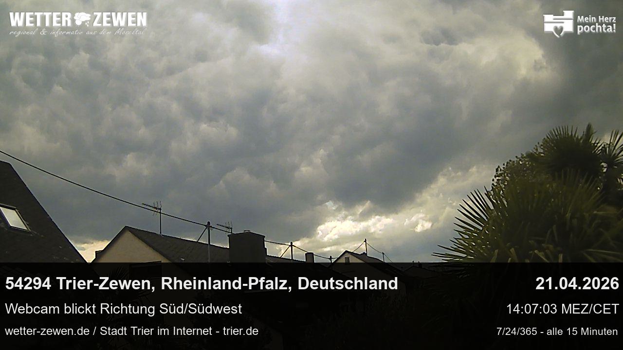 Bild