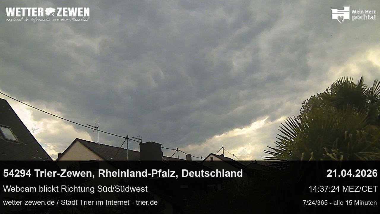 Bild