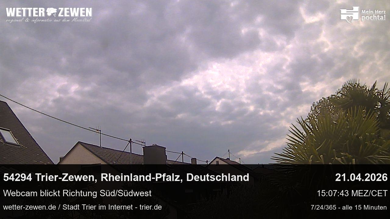 Bild