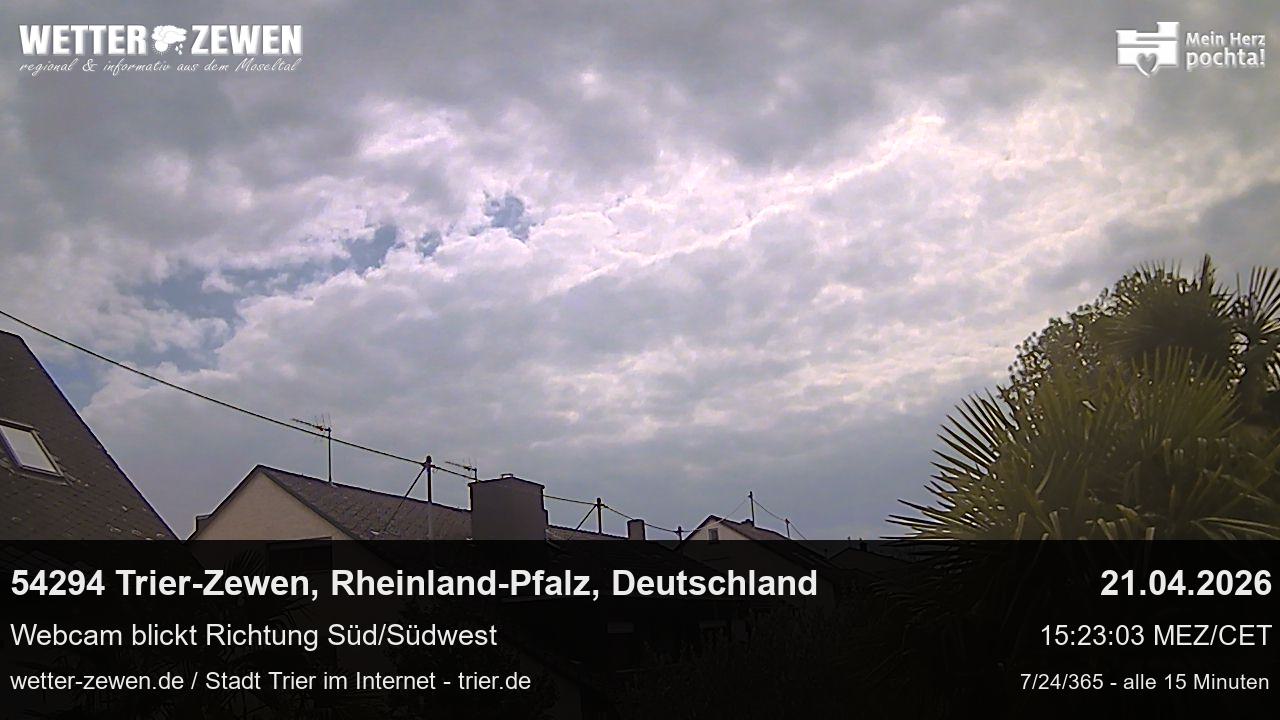 Bild