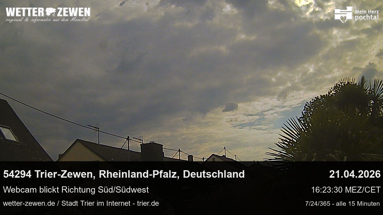 Bild