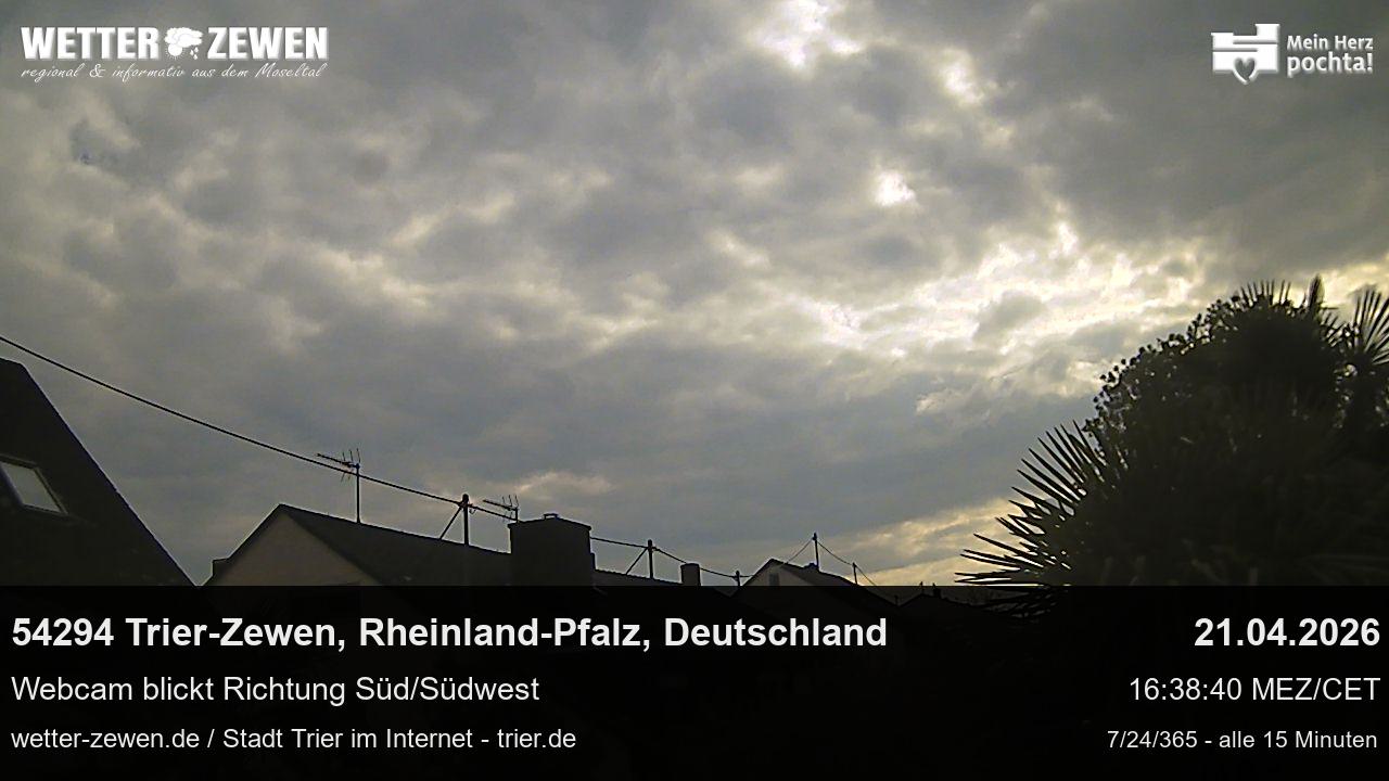 Bild