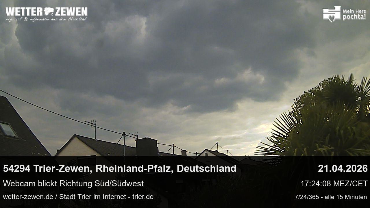 Bild