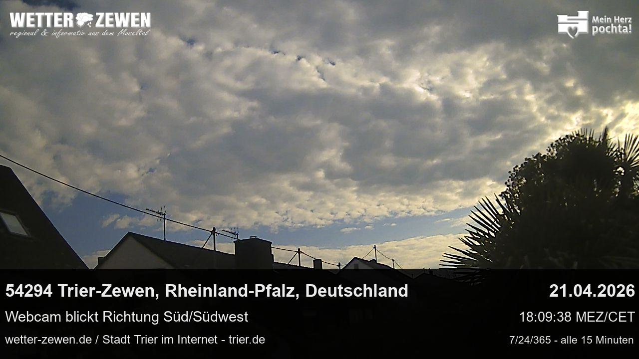 Bild