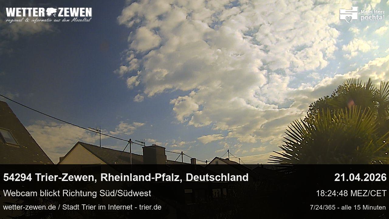 Bild