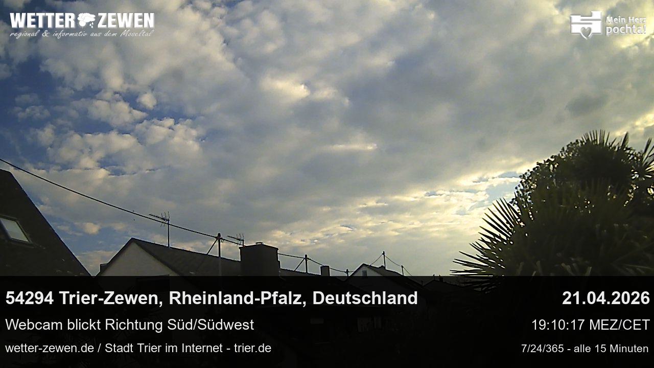 Bild