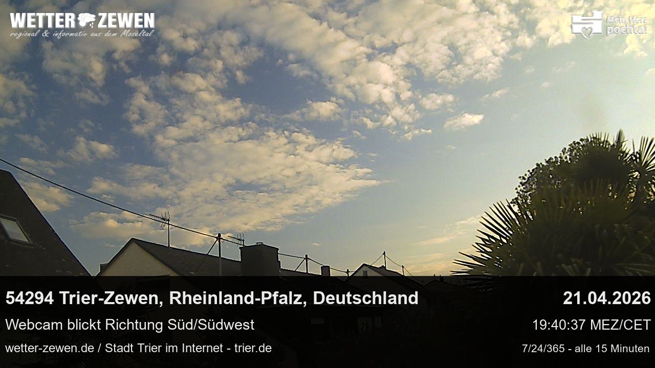 Bild
