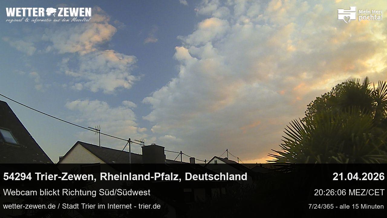 Bild