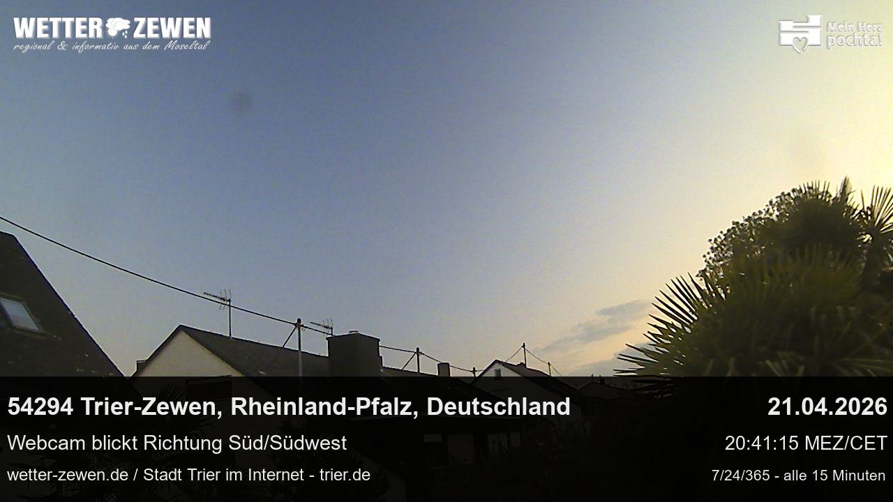 Bild
