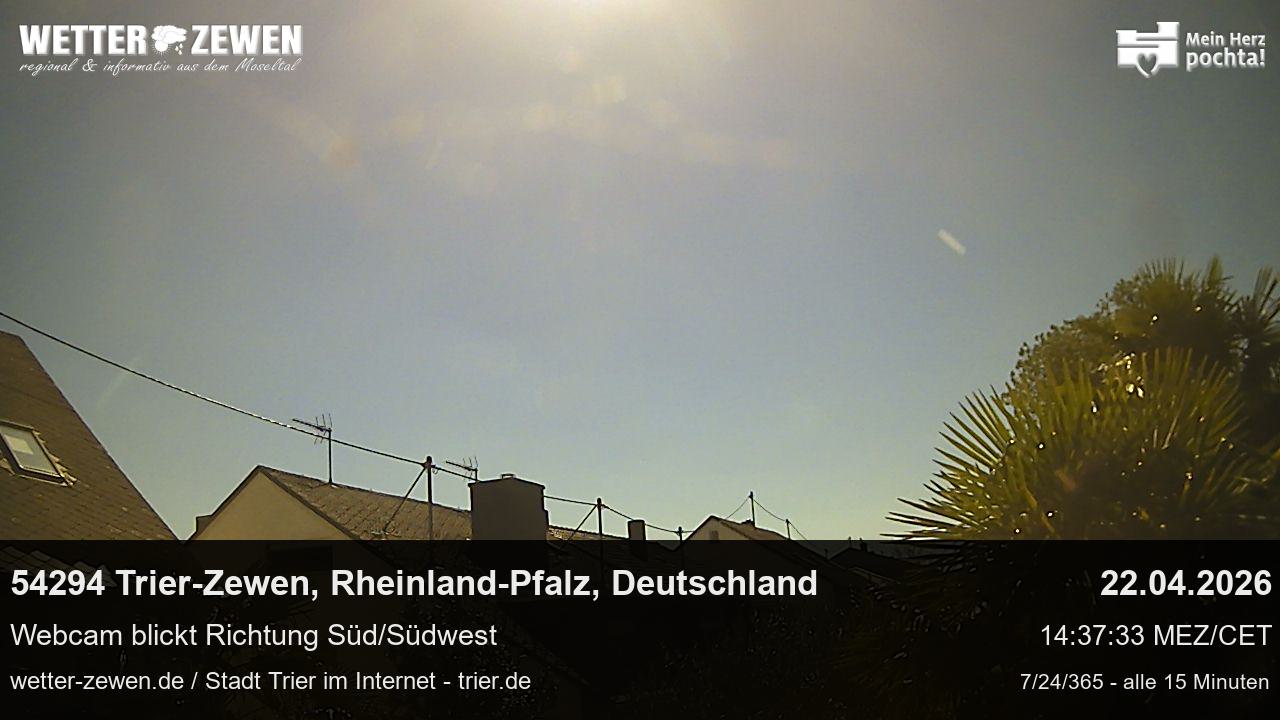 Bild