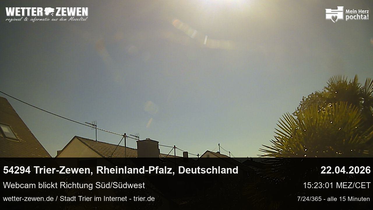Bild