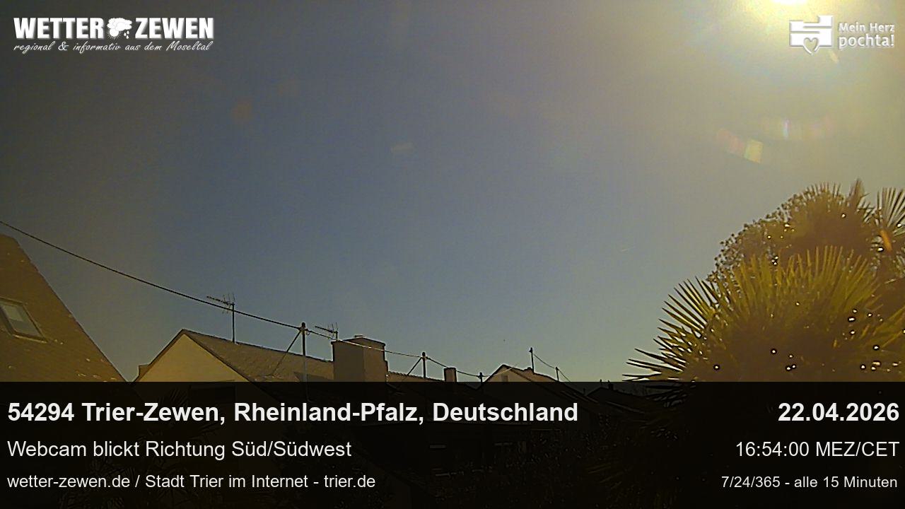 Bild
