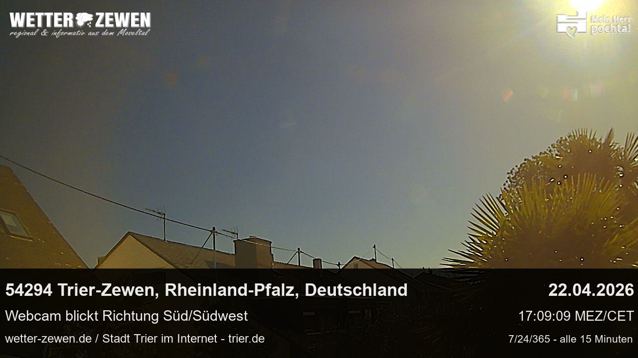 Bild