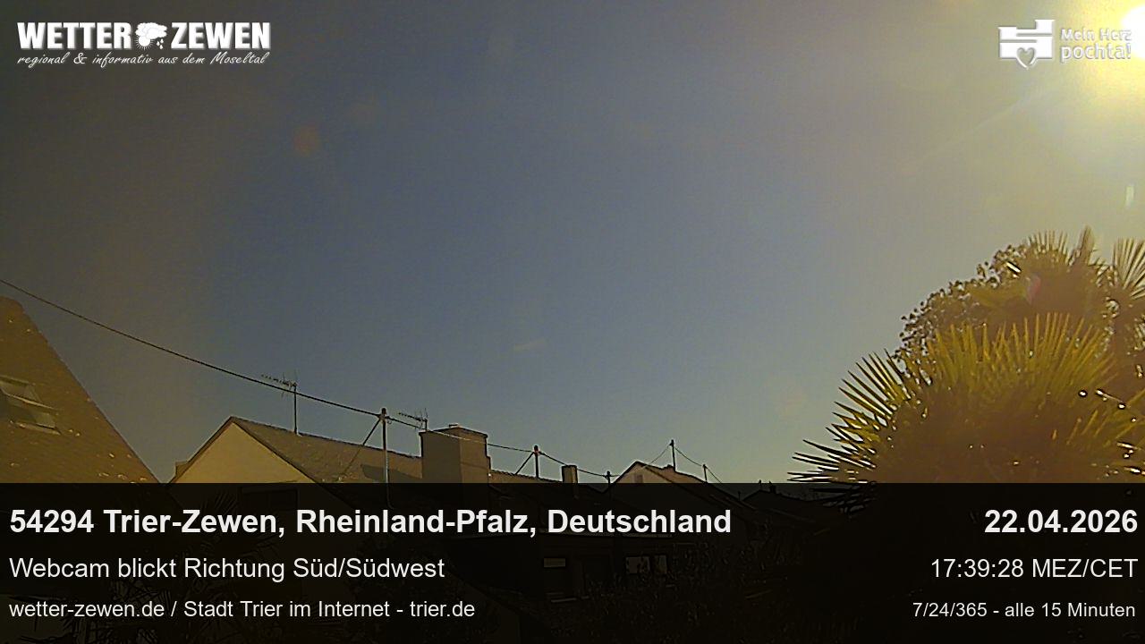 Bild