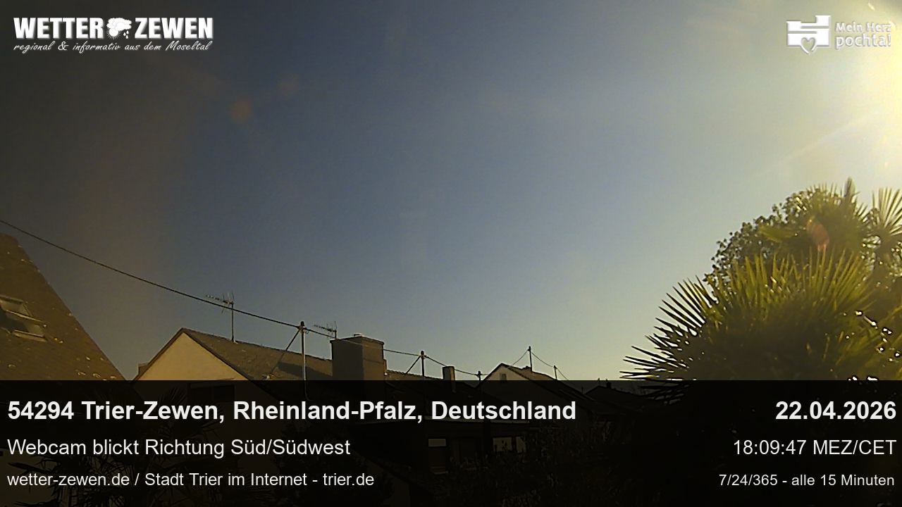 Bild